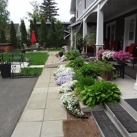 Hotel Saint-Donat Екстериор снимка